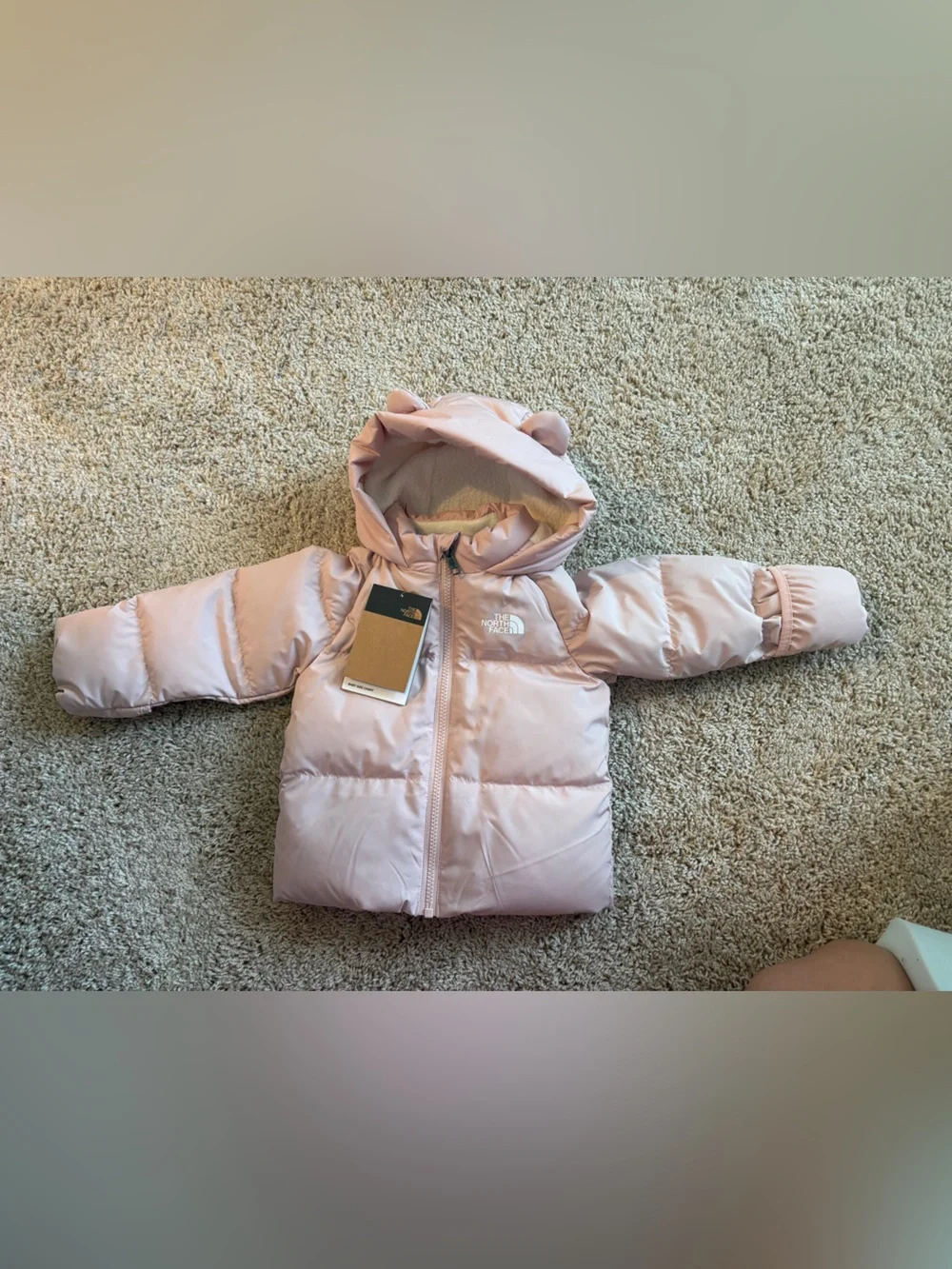 The North Face Light Pink Hooded Puffer Jacket